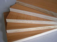 桦木胶合板 加工木胶合板 厂家批发供应木质板材 定制木板