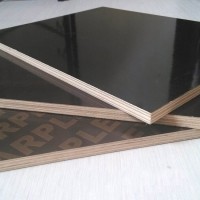 建筑模板_专业建筑模板供应商 山东建筑模板厂家