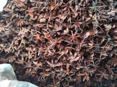 临沂大茴香厂家直销召彬商行13884905705
