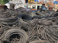 临沂钢丝绳回收处理15963900668