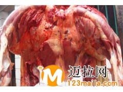 山东驴肉厂家13734384805