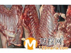 临沂牛肉13734384805