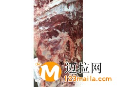 驴肉批发，临沂驴肉厂家直销