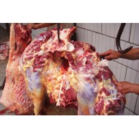 临沂驴肉厂家，山东驴肉价格