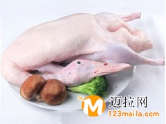 临沂白条鸭厂家,山东瘦肉鸭批发