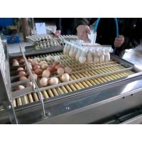 临沂洗蛋机配件厂家直销,山东鸡蛋洗蛋机批发价格