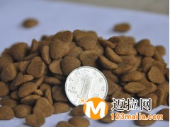 山东狗猫粮生产厂家,临沂宠物零食厂家直销