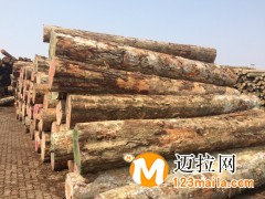 临沂竹胶板厂家,临沂建筑模板厂家直销
