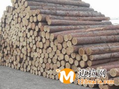 山东方木生产厂家,临沂原木批发价格