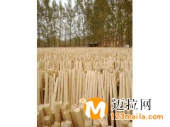 山东拖把厂家价格,临沂拖把线生产厂家
