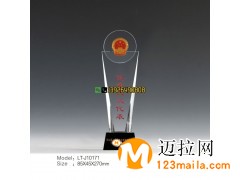 上海人大奖杯 优秀人大代表荣誉奖杯 最佳提案创意水晶奖杯定做