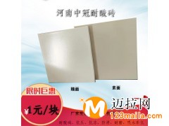 国标耐酸砖性能 广东加厚耐酸瓷板价格6