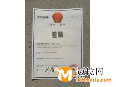 临沂新航粉笔厂无尘教学粉笔安全环保